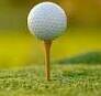 Fo Golf - Photo 3
